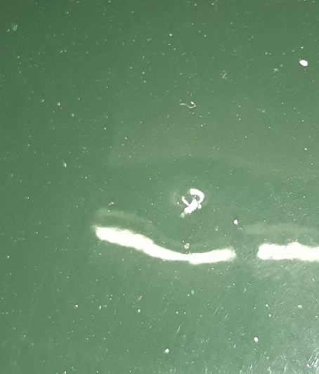 Couleur BRG Réduit.jpg