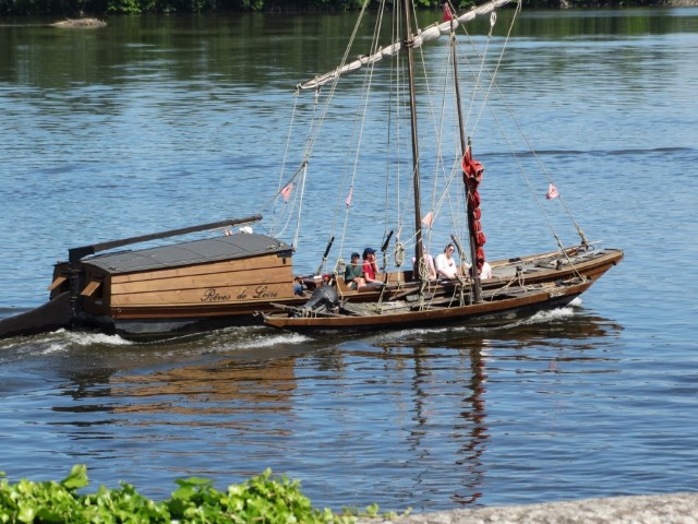 bord_de_loire (16) (Moyen) (Petit).jpeg